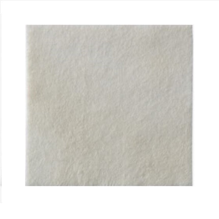 Coloplast Biatain® Alginate Ag Dressing, W6" x L6" 10 each/box, 24 box/case 3765