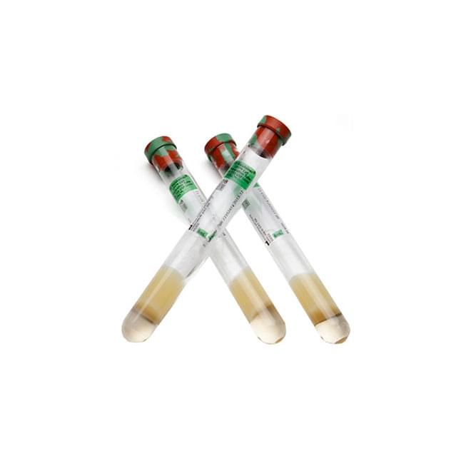 BD Vacutainer® CPT™ Mononuclear Cell Preparation Tube, Sodium Citrate, L125mm, OD 16mm, 8mL, 60 each/case, 362761.