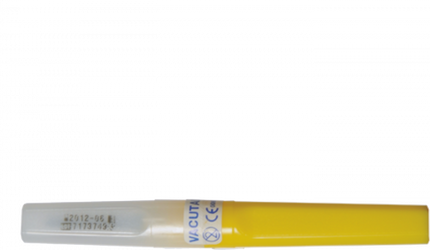 BD Needle Blood Coll Vacutainer Ms 20x1in Rw Bx/100