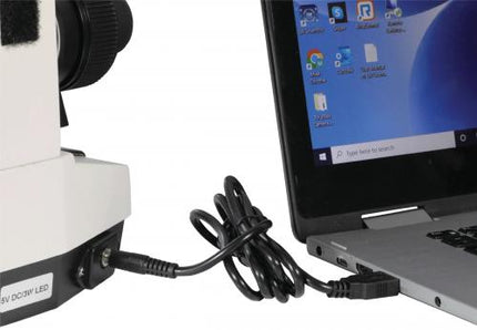 Microscope Revelation III 12v Electronics Achromatic Obj R3M-BN4A-DALP