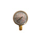Regulator Gauge, for Oxygen Flow Control 0-4000PSI, RXM1-540-15FG