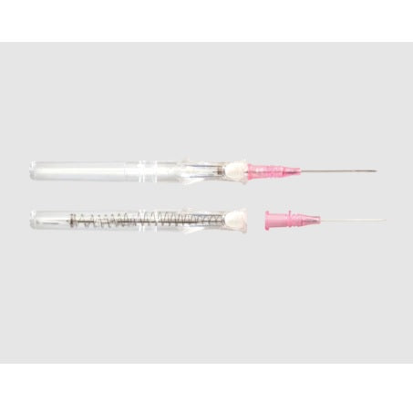 Bd Insyte Autoguard Catheter, Winged 50 each/box, 4 box/case 381911