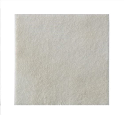 Coloplast Biatain® Alginate Ag Dressing, W6" x L6" 10 each/box, 24 box/case 3765 - A Medi Supplies