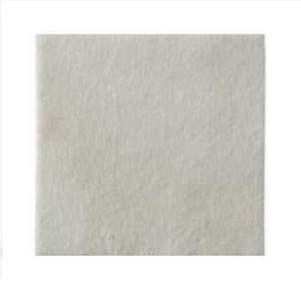 compare product Coloplast Biatain® Alginate Ag Dressing, W6