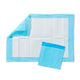 Alliance™ Single - Use Fluff - Fill Underpad, 23" x 36" (58 cm x 91 cm), 150/CS, 1343 - A Medi Supplies