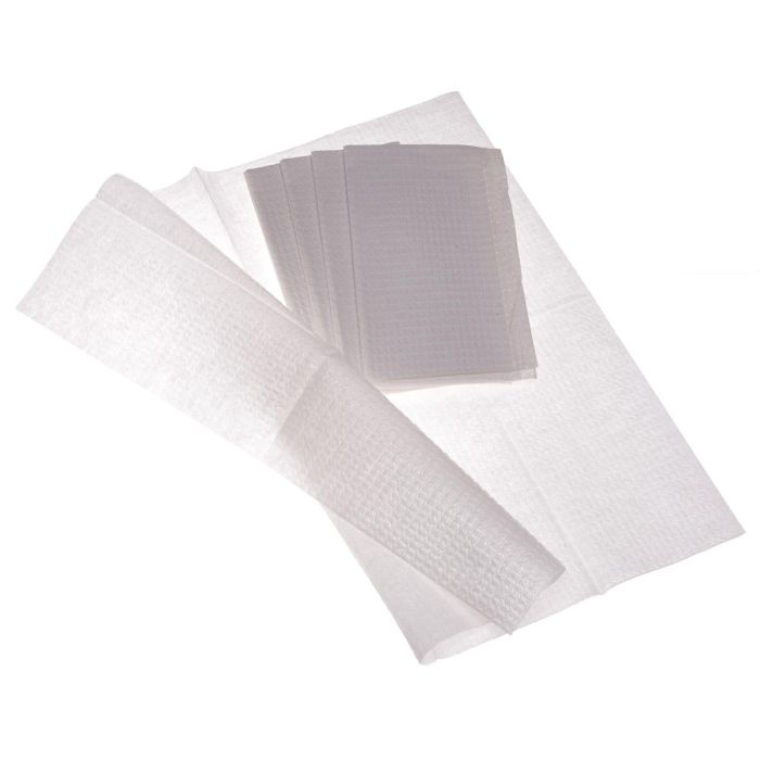 Medline Professional Towel, 2 Ply, 13" x 18" (33 cm x 46 cm), Blue, 500/CS, NON24356B - A Medi Supplies