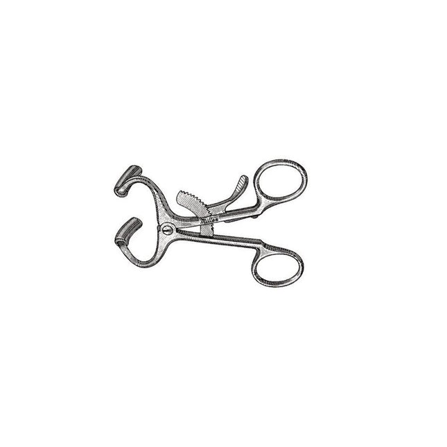 Miltex: Molt Mouth Gag Adult (2/Pack) 63 - 20A - A Medi Supplies