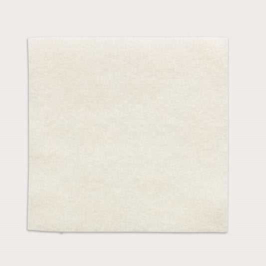 Molnlycke Health Care Melgisorb® Ag Antimicrobial Alginate Dressing, 10cm x 10cm 10 each/box, 10 box/case 256105 - A Medi Supplies