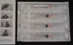 Sol - M Sol - Care™ 3mL Luer Lock Safety Syringe with Exchangeable Needle 25g X 1" 100 each/box, 8 box/case 100079IM - A Medi Supplies