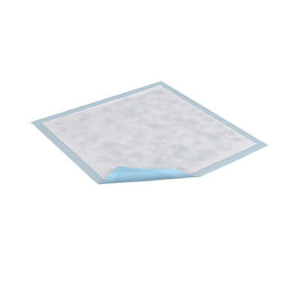 compare product Tena Regular Absorbency Underpads, 23in X 36in, Bag of 25 / Case of 150, 352